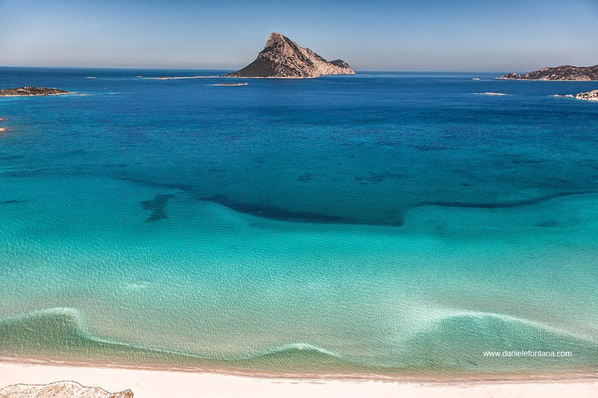 Aria Di Vacanza - Gelsi ออลเบีย ภายนอก รูปภาพ