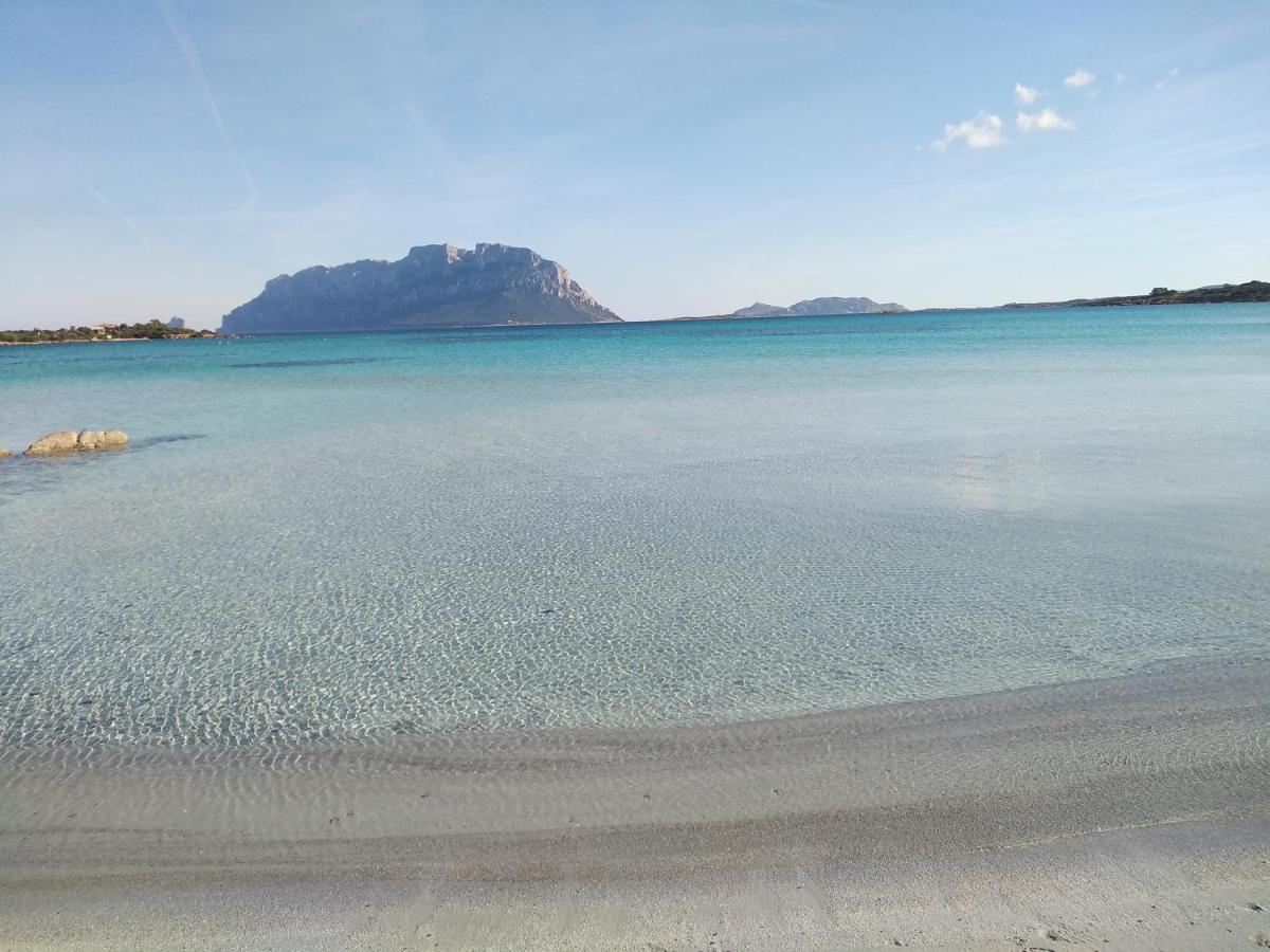 Aria Di Vacanza - Gelsi ออลเบีย ภายนอก รูปภาพ